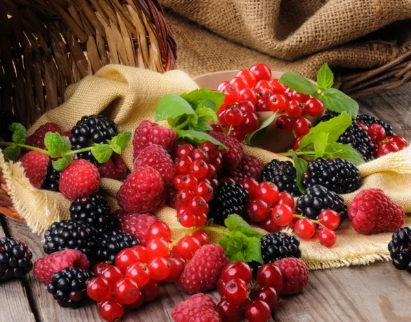 6075df65439569.15469953-scaled